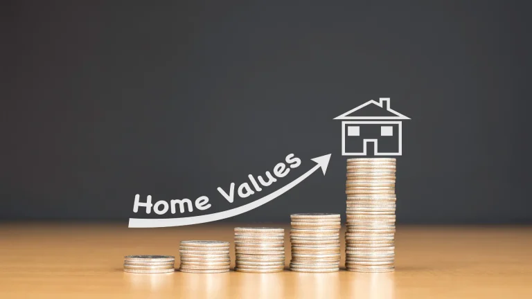 Why Wildlife Control Is An Investment, Not An Expense